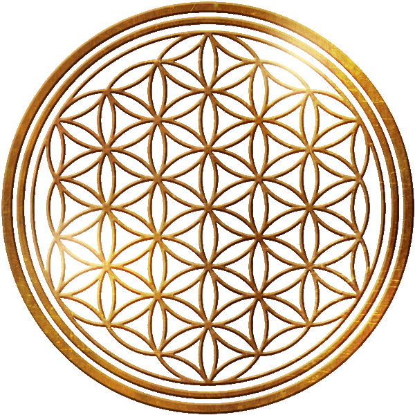 Flower of life in ancient gold symbolizing interconnectedness for your Soul Blueprint Akashic Records Reading